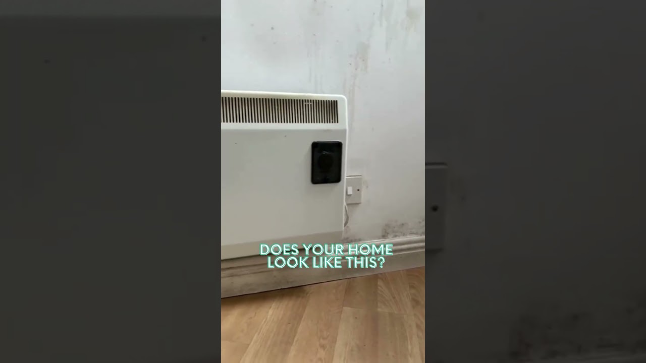 Mould Removal Experts in Dublin: Restore Your Home with VentSolve
