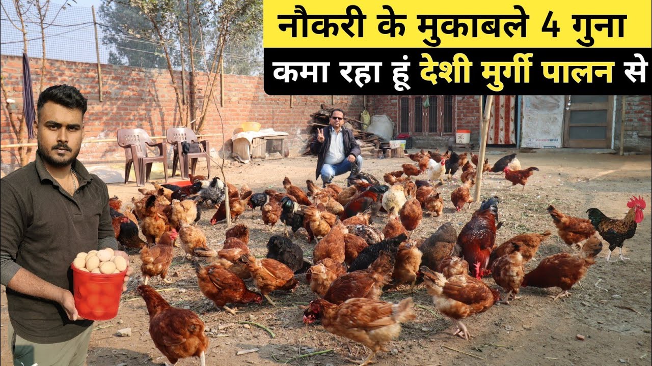 23 साल के युवा का Desi Poultry Farm | Desi Poultry Farming In India