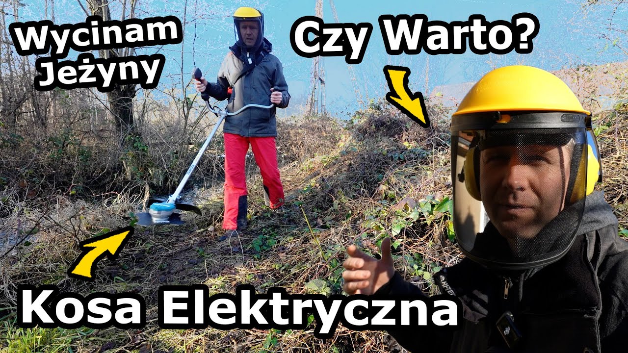Odkrywam Ogromną Tamę Bobrów za Stodołą !!! - Testuję Kosę Makita na 36V! *Wycinam Jeżyny 
