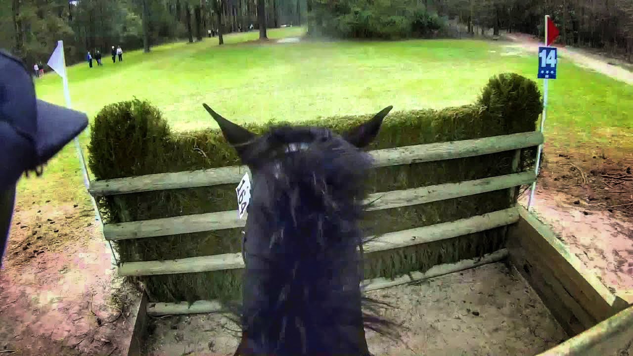 Helmet Cam: Simply Priceless (2016 Carolina Int'l CIC & HT )