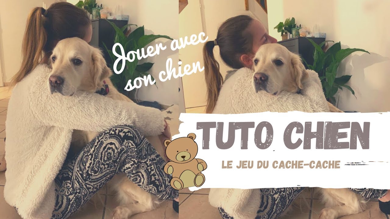 TUTO CHIEN - Jeu du Cache-Cache