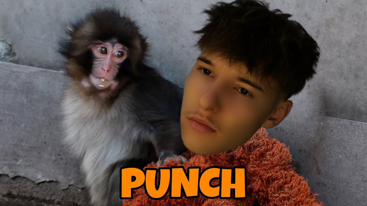 Punch și Prietenii Săi