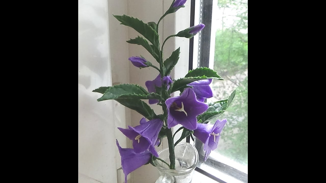 КОЛОКОЛЬЧИК ИЗ ХОЛОДНОГО ФАРФОРА (Campanula latifolia L.)