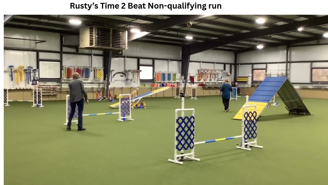 2025 12 28 Rusty runs agility