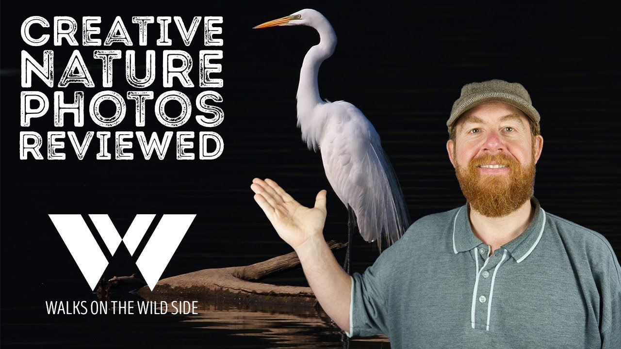 Анализ ваших творческих фотографий природы