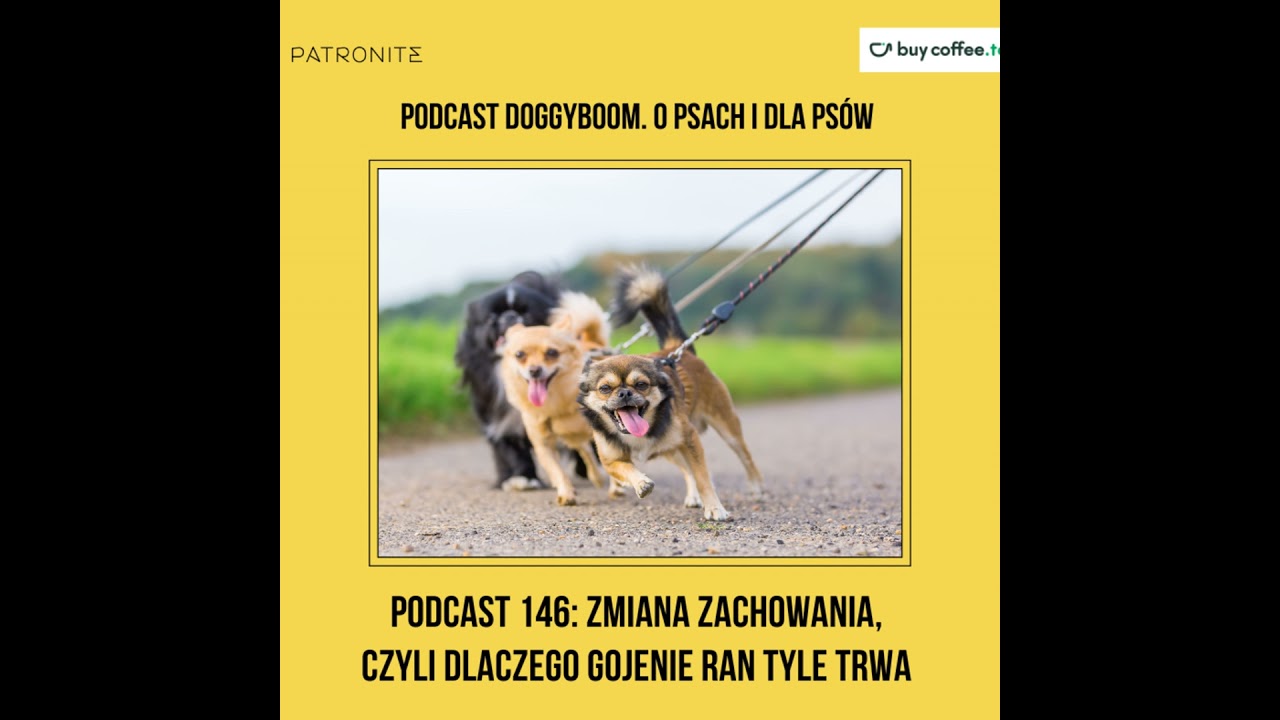 Podcast 146: Zmiana zachowania, czyli Dlaczego gojenie ran tyle trwa