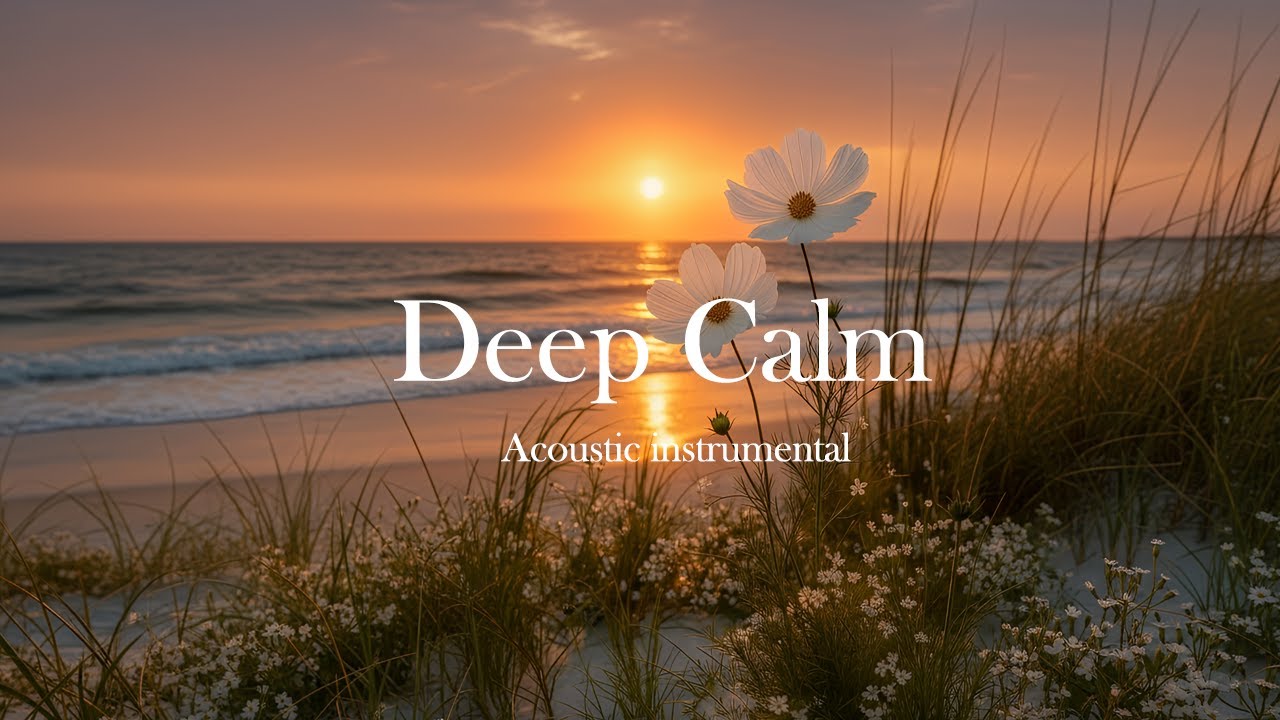 Soft Guitar for Focus 📖 Deep Calm Acoustic Music for Study & Concentration 🧠(4K)