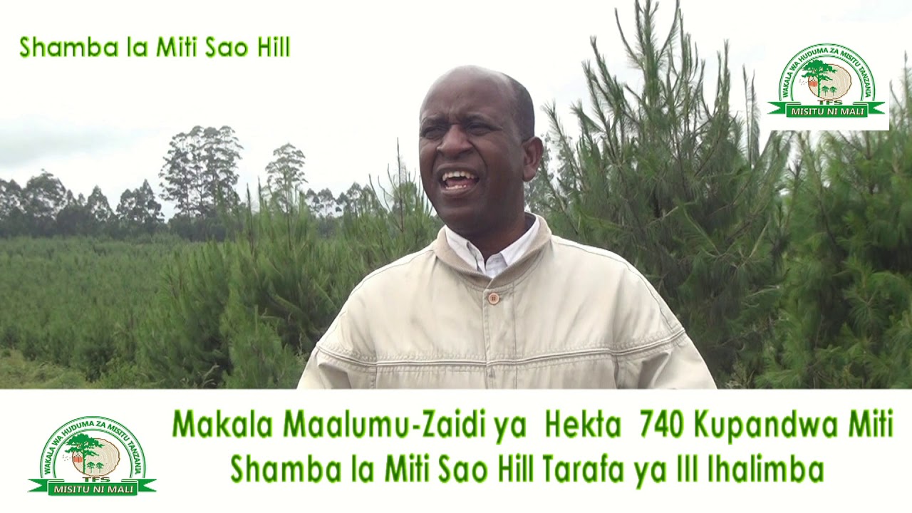 TFS-SHAMBA LA MITI SAO HILL TARAFA YA III IHALIMBA LAPANDA MITI ZAIDI YA HEKTA 740 MWAKA HUU 2019.
