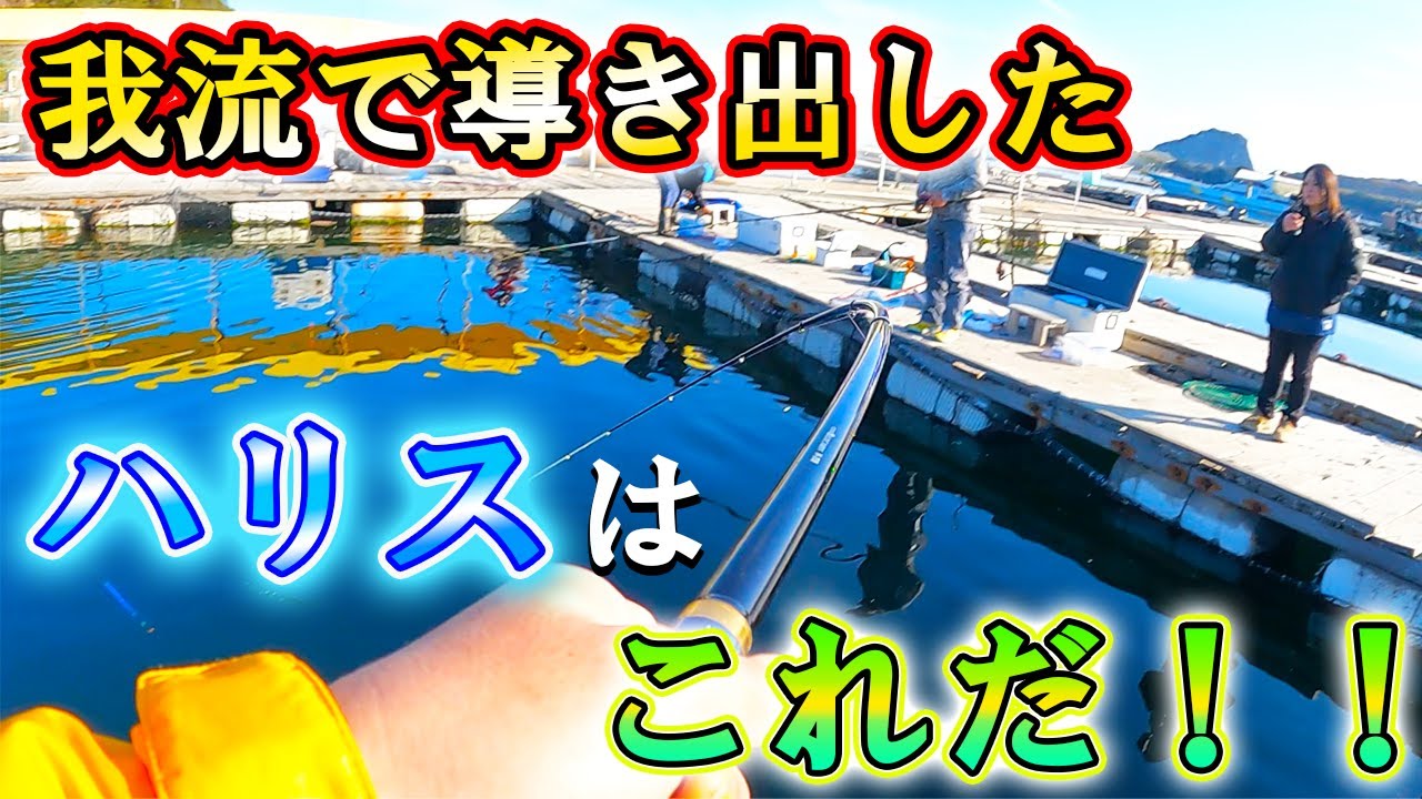 【海上釣堀】「水宝」魚種問わず年中このハリスで戦い続ける！！！