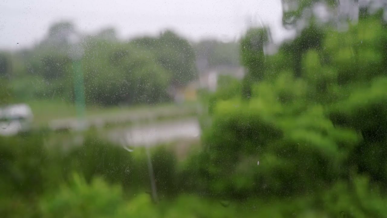 【힐링 타임】조용히 혼자 있고 싶은 날 l 멍하니 듣고 싶은 #비 ASMR🌧️🌧️🌧️ l Rain Sounds for making comfort of Mind and Body
