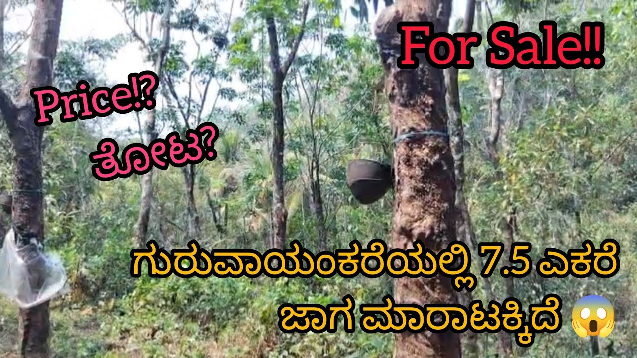 Property for Sale😨| 7.5 ಎಕರೆ ಜಾಗ ಮಾರಾಟಕ್ಕೆ ಇದೆ🤯 #youtube #sale #viral #viralvideo #video #property