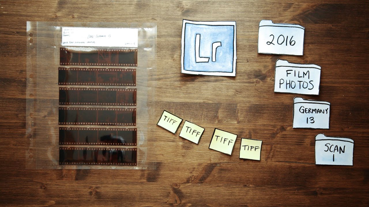 How to Scan and Organize 35mm Film Negatives (Snippet 16)