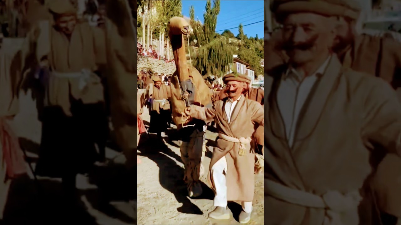 A beautiful folk on Camel 🐪🐫 sung by Mr. Amir Hayat Hunzai 