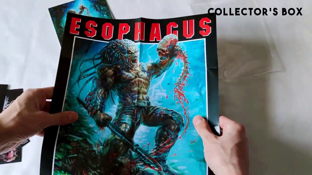 MERCH SHOWCASE: ESOPHAGUS - Defeated By Their Inferiority | Reality Fade