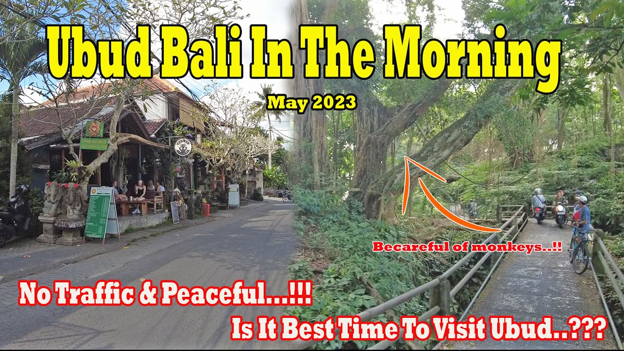 Drive Around Ubud In The Morning..!! Beautiful and No Traffic..!! Is It Best Time To Visit Ubud..?