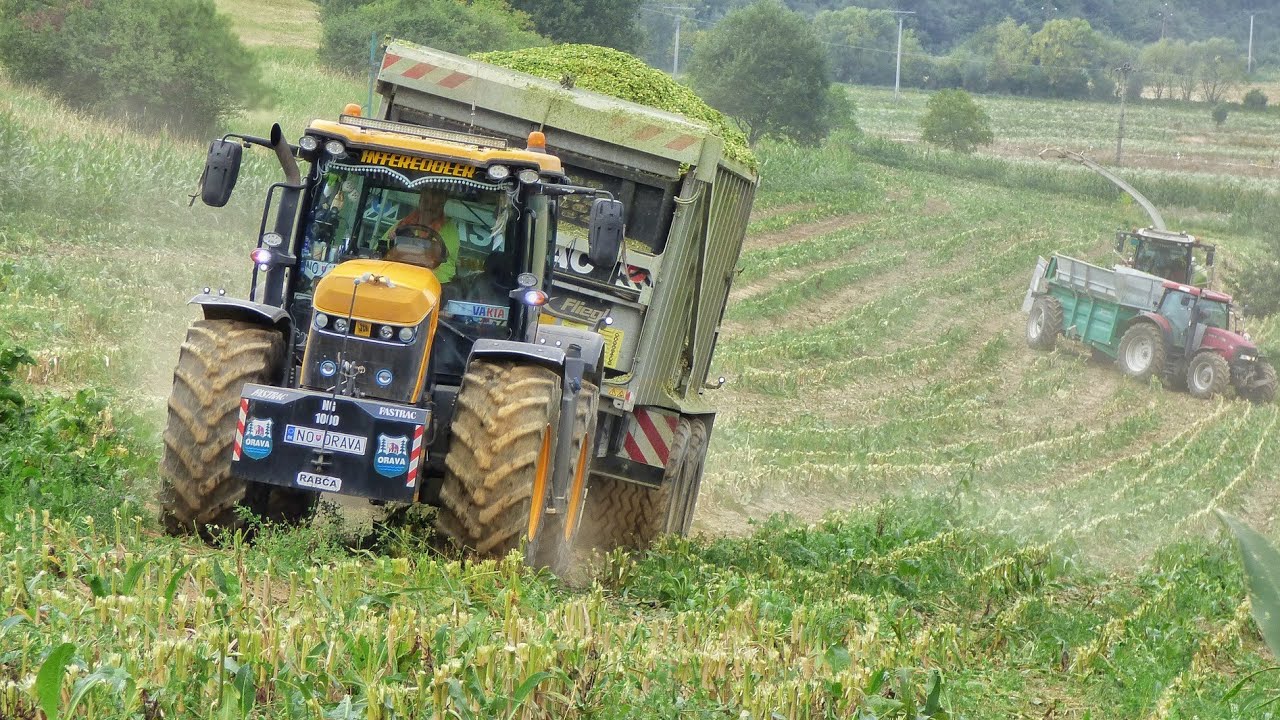 Mokra kiszonka z kukurydzy na wzg&oacute;rzu [ Claas Jaguar , JCB, John Deere, Tatra, Case IH & Zetor ]