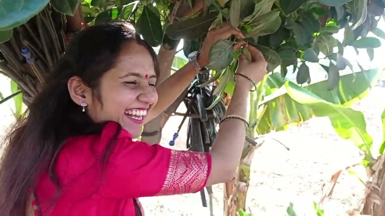 “शेतीवाडी आणि बरंच काही 🌾🚜 | गावाकडचं आयुष्य | Marathi Vlog” #minivlog #vlogs #marathivlog #farming 