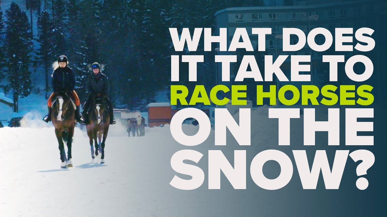 WHITE TURF HORSE RACING | What is it like racing on the snow in St Moritz?