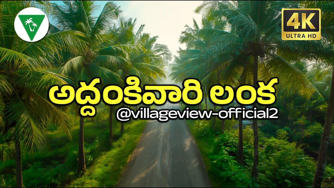అద్దంకివారి లంక గ్రామం  Addankivari Lanka #villageview #travel #andhrapradesh
