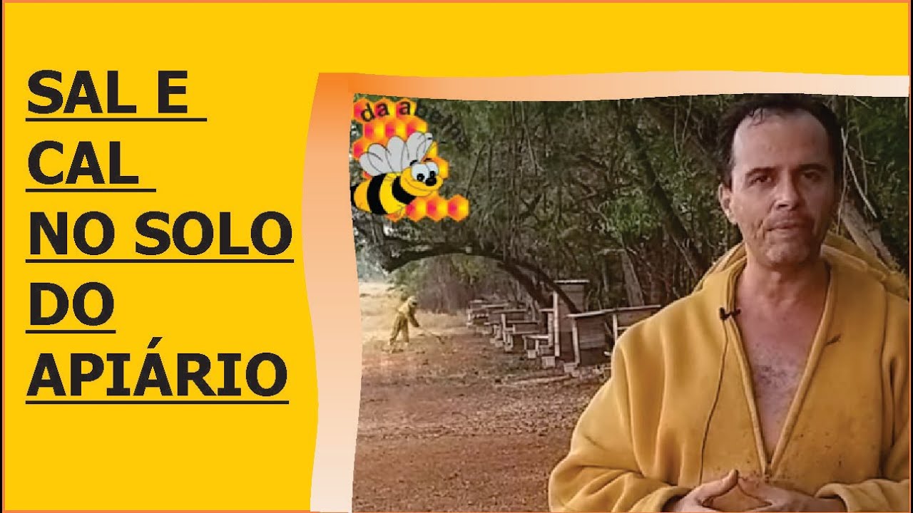 SAL E CAL NA TERRA PARA PROTEGER AS ABELHAS? INOVADOR, LIMPO E SEM RESIDUOS NA COLMÉIA.