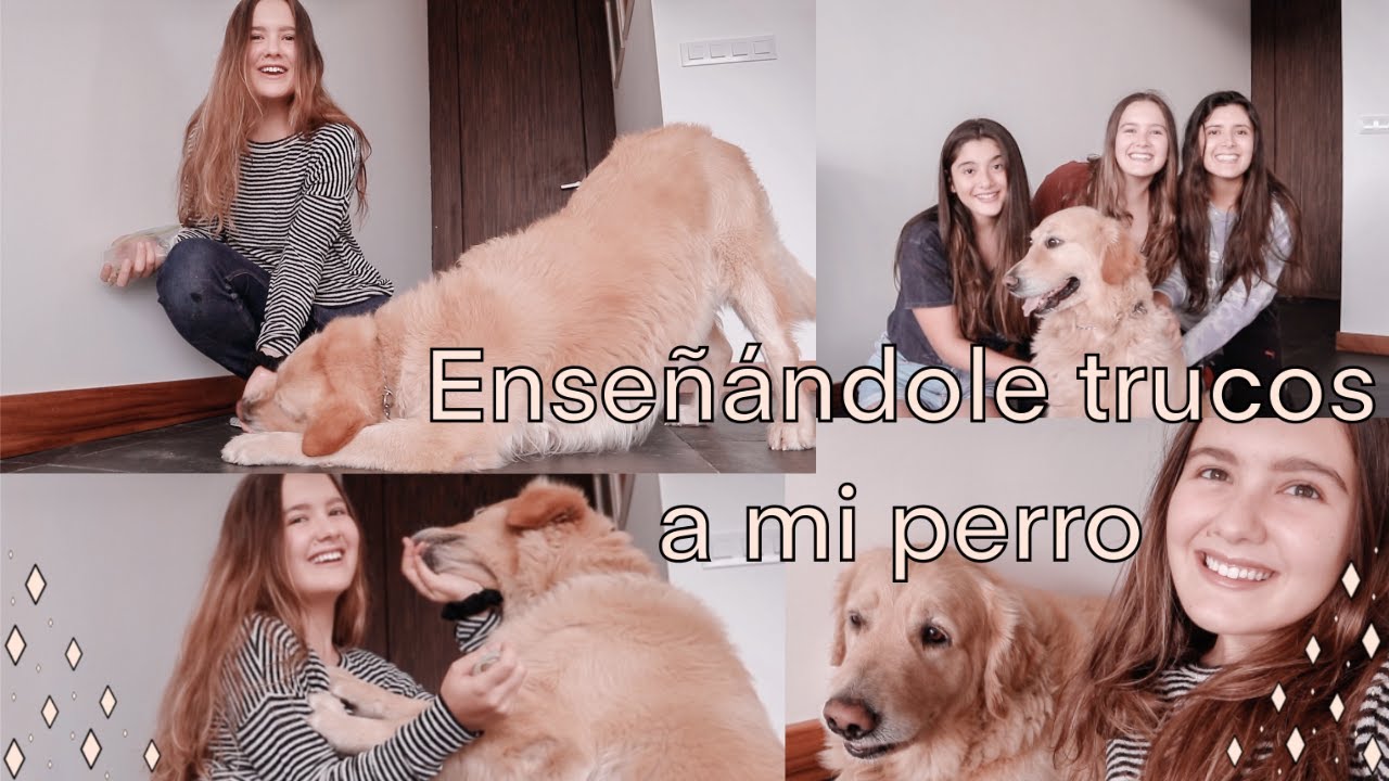 Le enseñé TRUCOS a mi PERRO