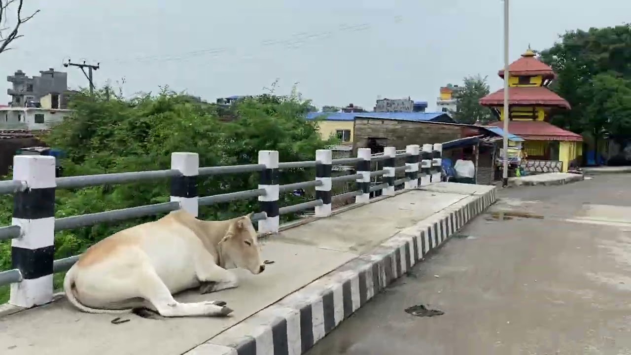 nayagau road butwal