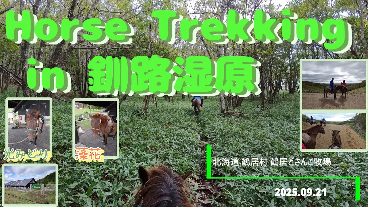 #20250921 #北海道 #釧路 #鶴居どさんこ牧場