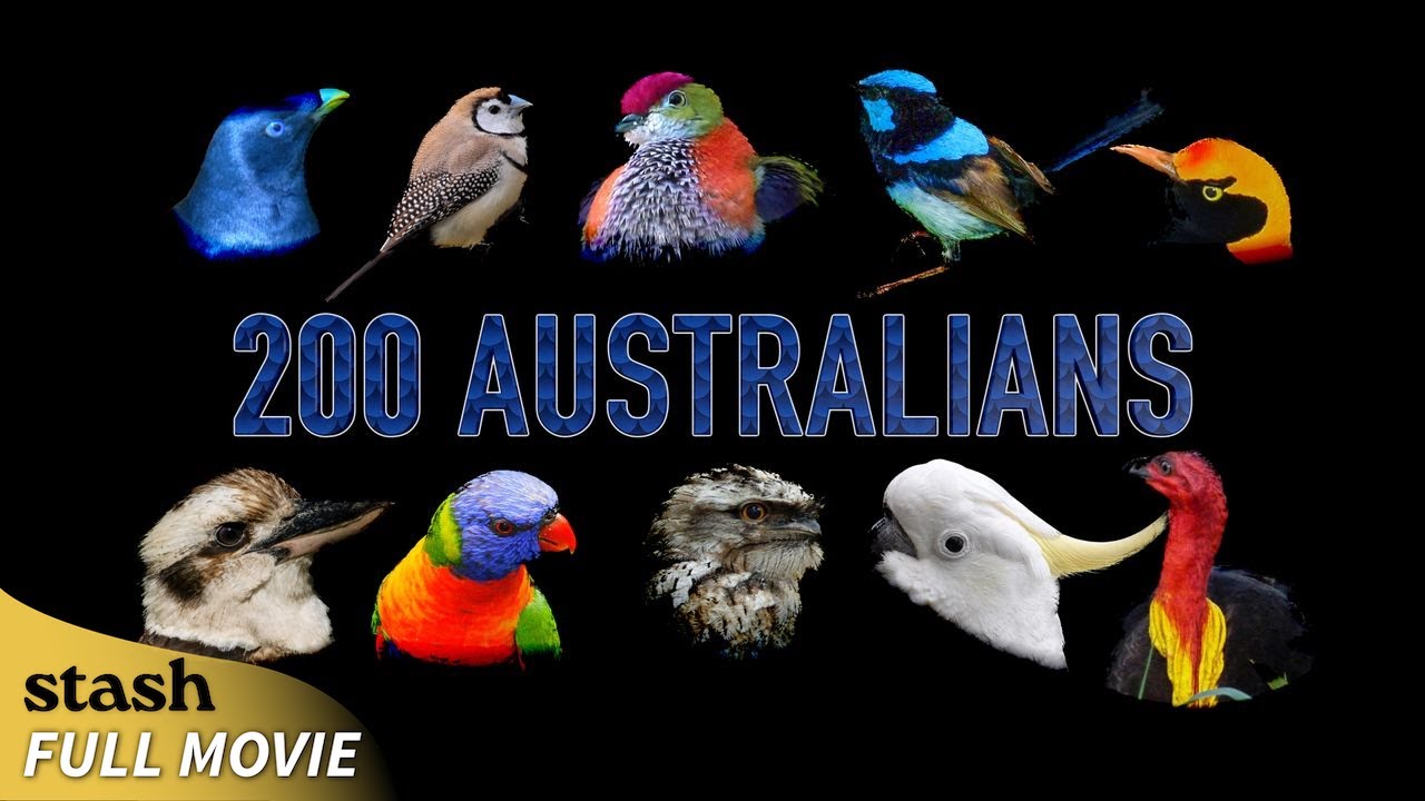 200 Australians | Documentary | Full Movie | Birds Of Paradise Found