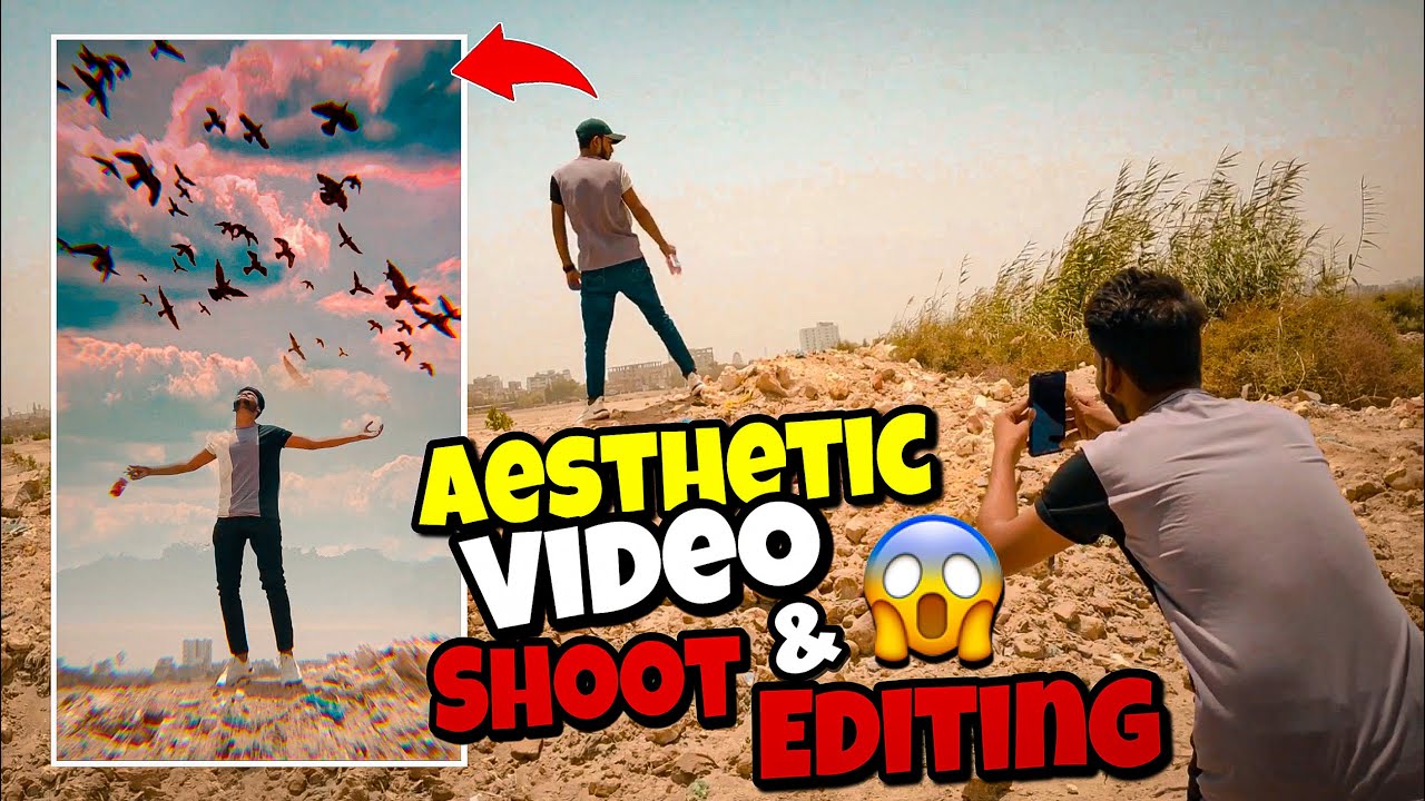 Instagram Aesthetic Reels birds Vfx Video Shoot and Editing | Aesthetic video shoot Editing