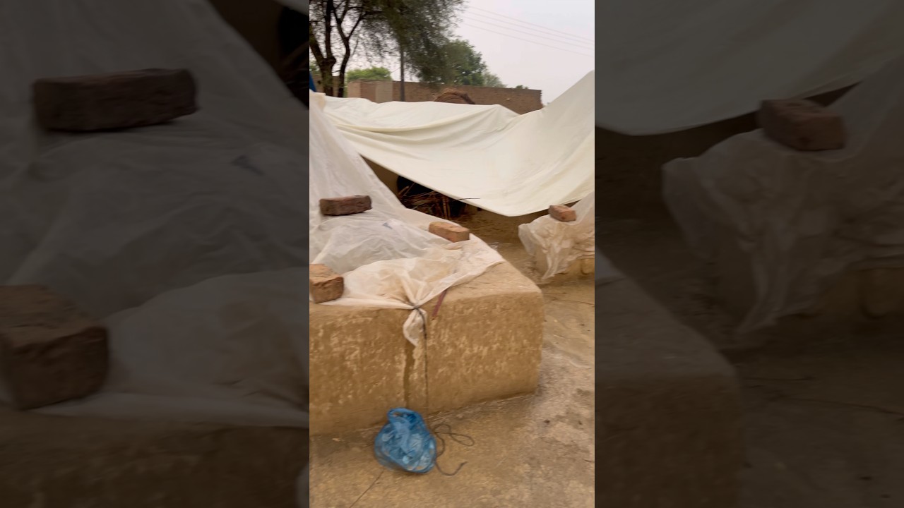 Village life daily routine content video short video mini flogs trending Vlogs Pakistani Vlogs ￼