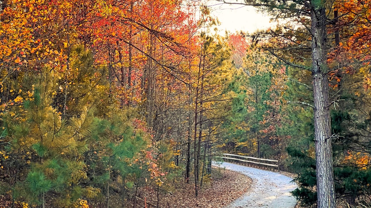 Thanksgiving Ebike Riding the Man O’ War Trail in Pine Mountain Georgia, Commentary by Eli