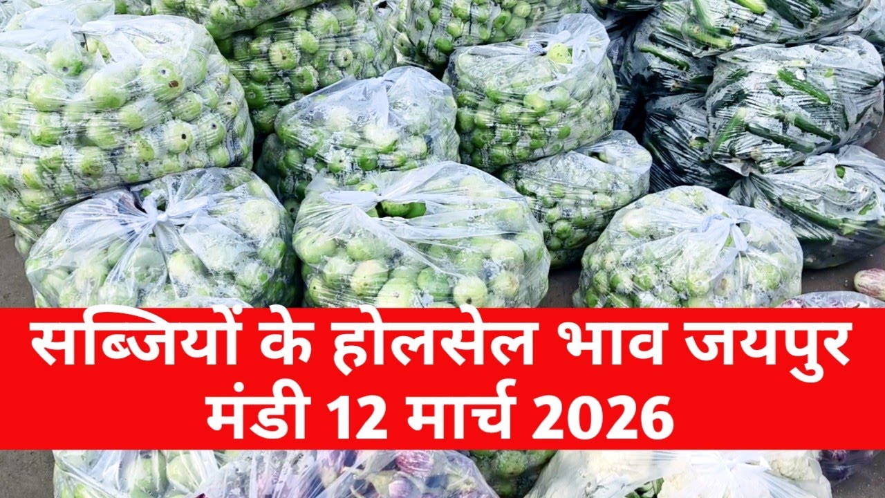 12 मार्च 2026 सब्जियों के होलसेल भाव जयपुर मंडी | आज सब्जियों का भाव | Jaipur Vegetable Market