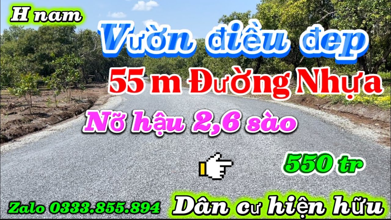 Vườn điều 55 m nhựa nỡ hậu 2,6 sào cách liên xã 200 m cách QL13 2,5 km mà giá chỉ 550 tr