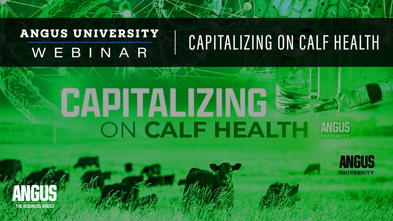 Capitalizing on Calf Health | WEBINAR - March 30th, 2021
