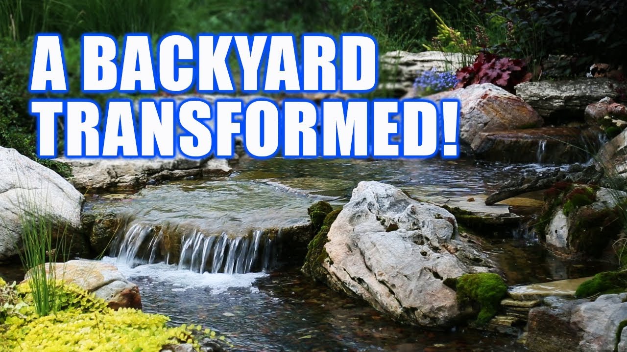 STUNNING POND Transforms a Backyard!