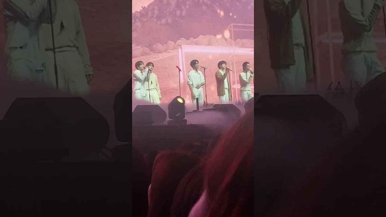 백투유