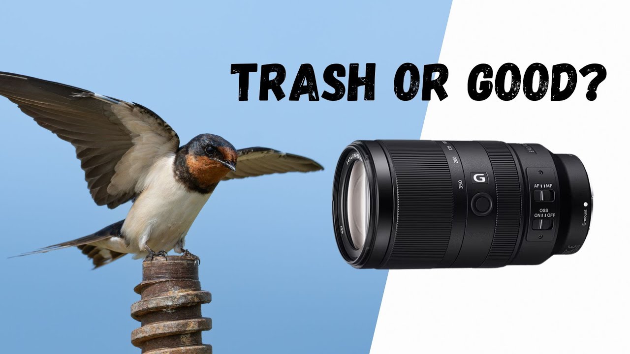 Sony E 70-350mm G OSS | Powerful Telephoto Lens for APS-C on a Budget | Sony A6700
