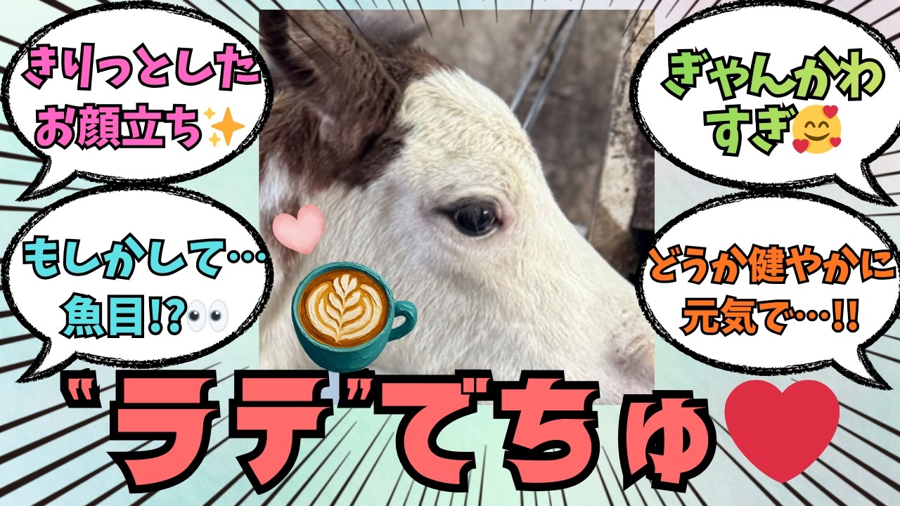 【カスタディーヴァの2026】アオラキくんの四番目の妹・幼名が決定♡に対する競馬好きの反応