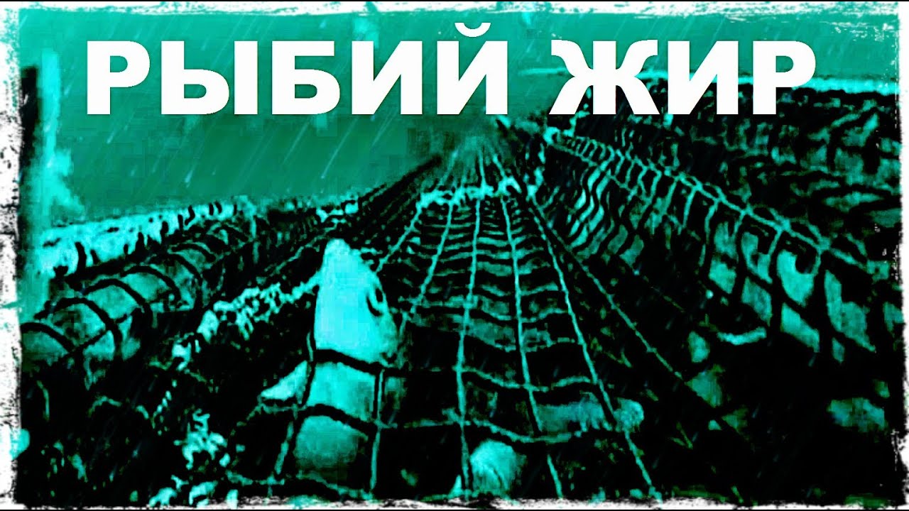 Галилео | Рыбий жир 🐟[Fish oil]