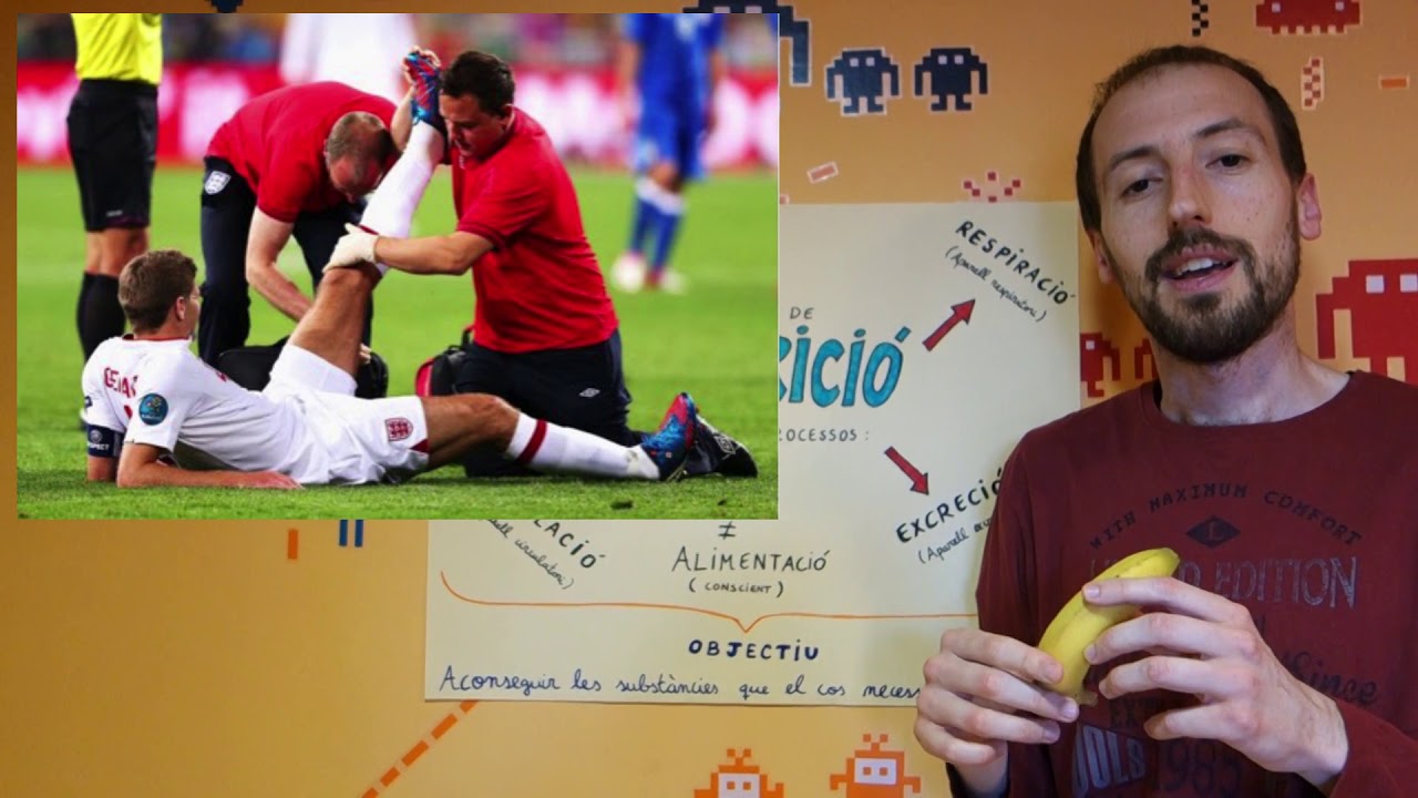L'aparell digestiu