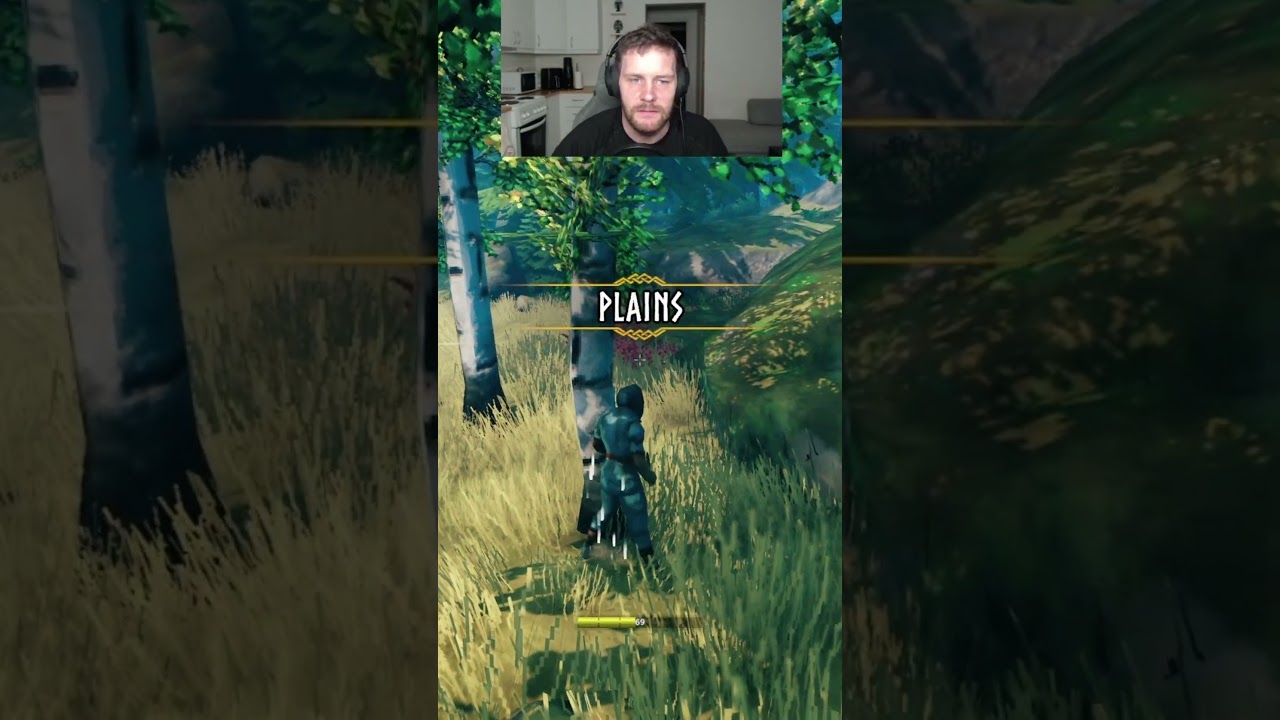 When you run into #plains way to early on #valheim