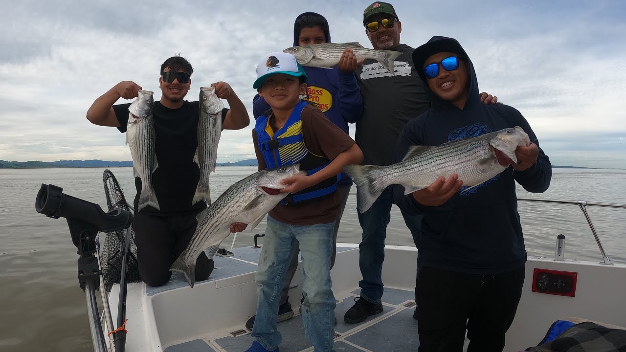 Amazing striper action in grizzly bay ca 2/28/26 5 stripers and one sturgeon 