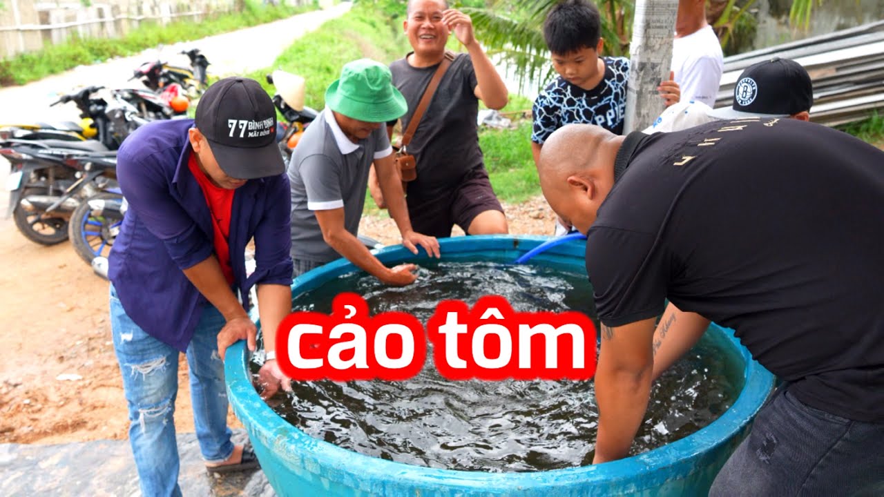 Thu Hoạch Tôm Cảo Hồ Về Làm Vài Món Lai Rai Ngày Mưa | SON DUOC VLOG