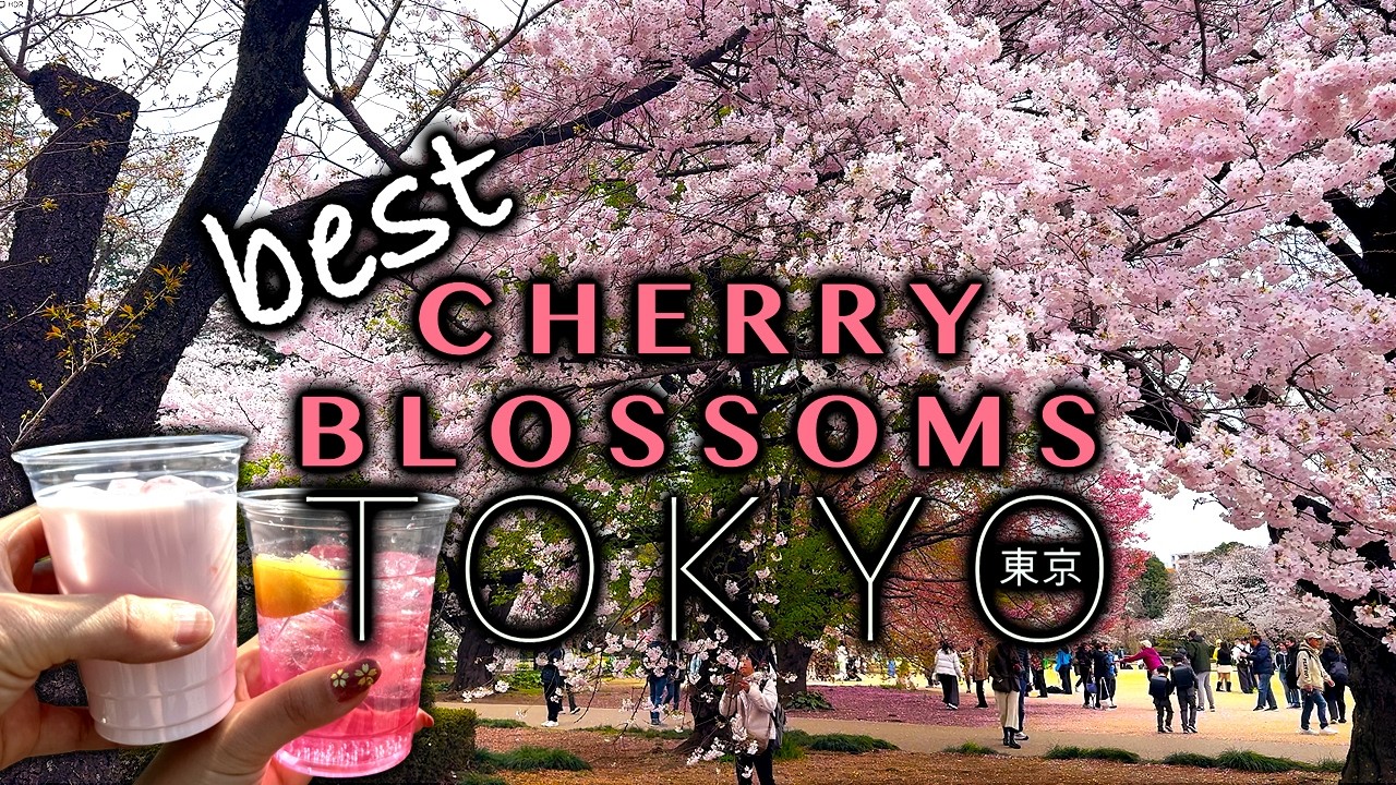 Tokyo Cherry Blossoms 2026: A Calm ASMR Guide to the Best Sakura Spots & Hanami Gems | Silent Vlog