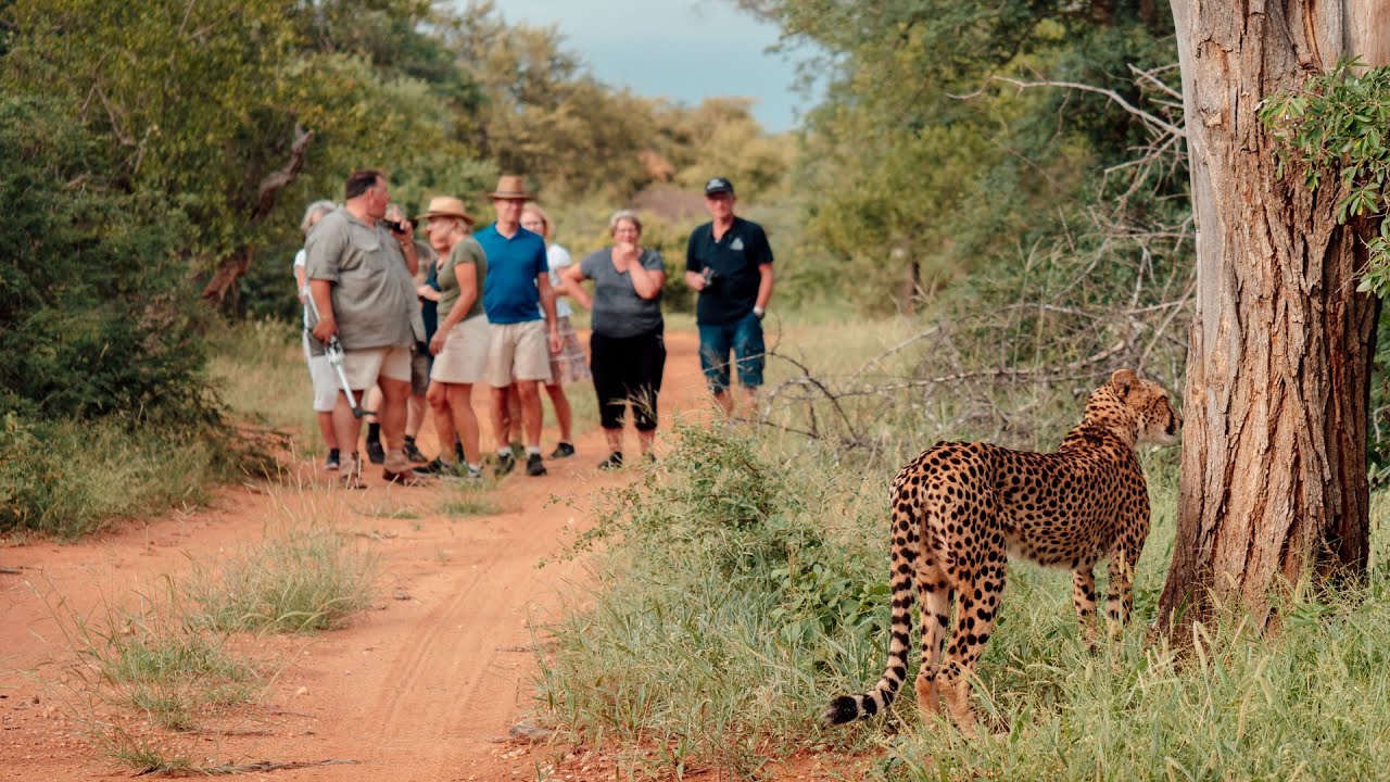 Tshukudu Game Lodge