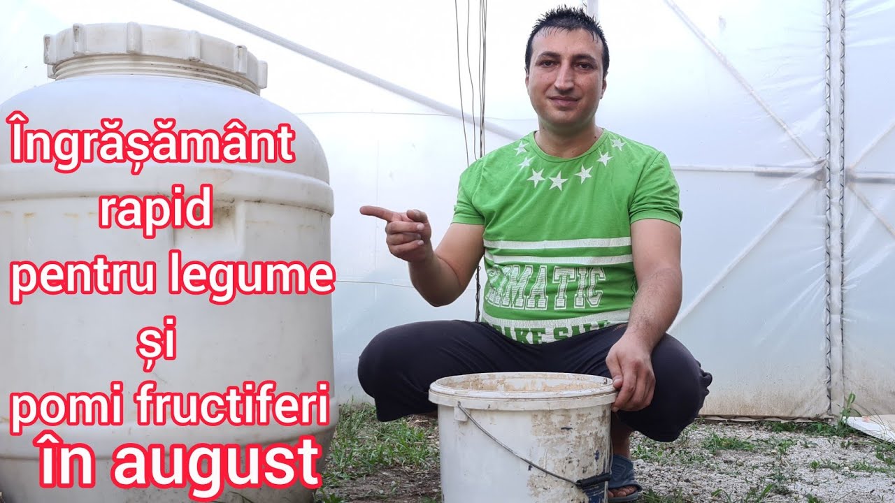 &Icirc;ngrășăm&acirc;nt lichid aplicat in luna august, Aplicat la legume si Pomi fructiferi