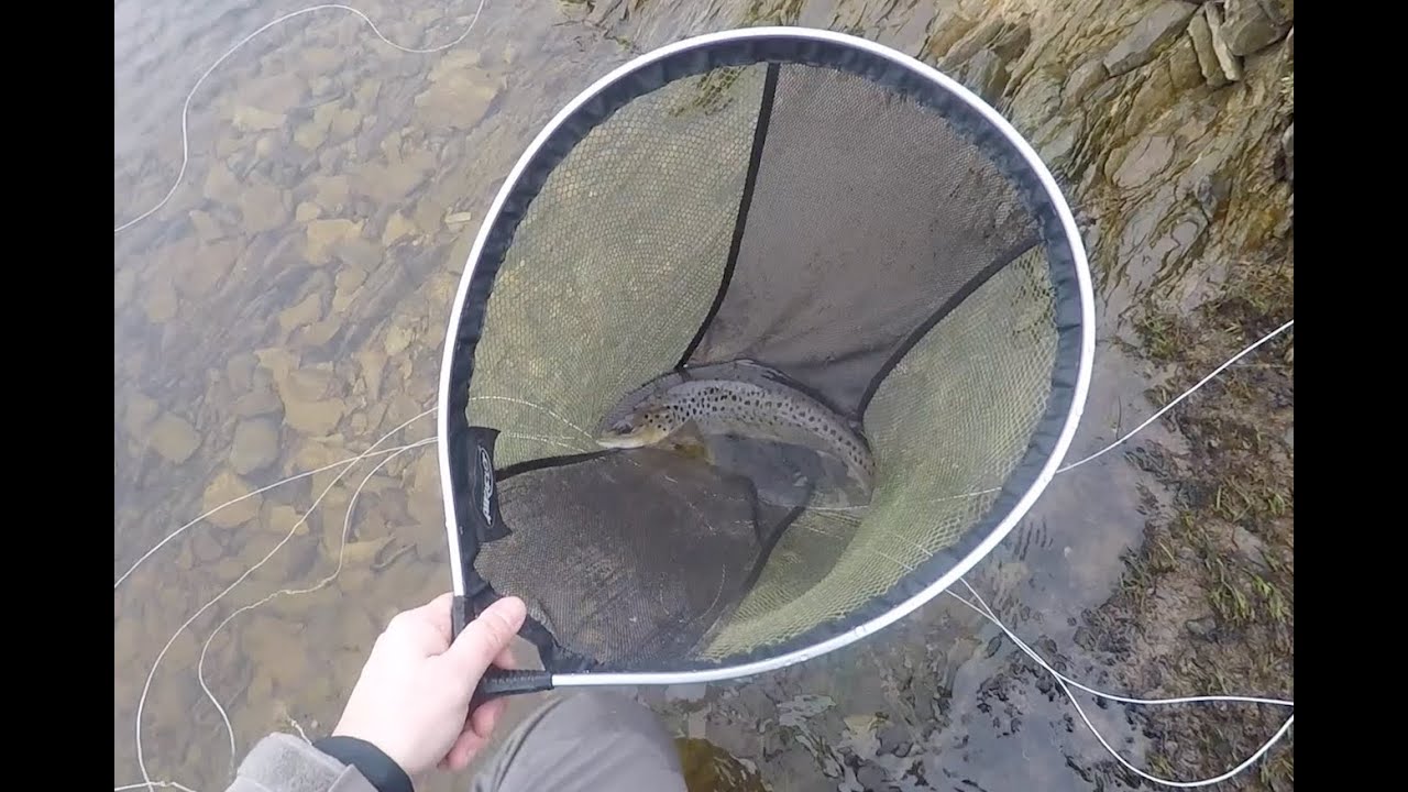 Chilly January on Llyn Brenig - Beautiful 2lb Brown Trout on a #16 Dry Parachute - VCAC