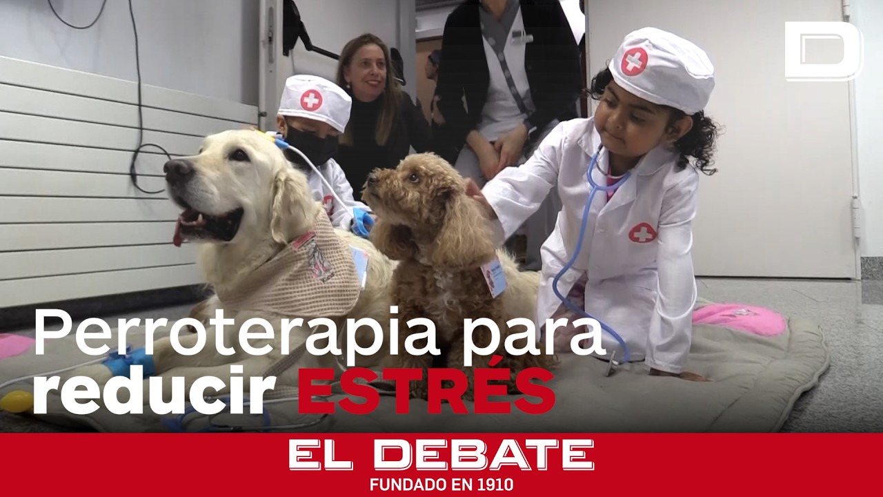 Perroterapia para reducir el estrés en niños hospitalizados