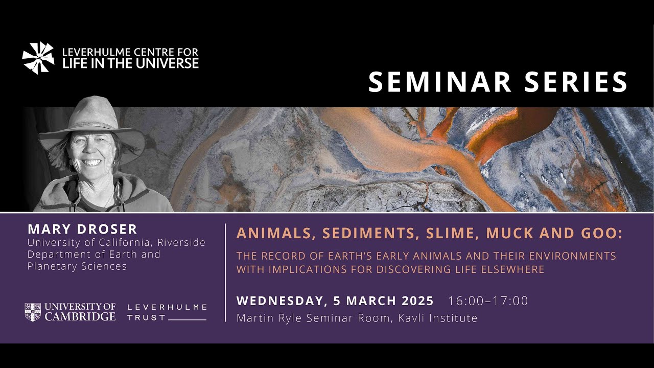 Mary Droser | Animals, Sediments, Slime, Muck and Goo