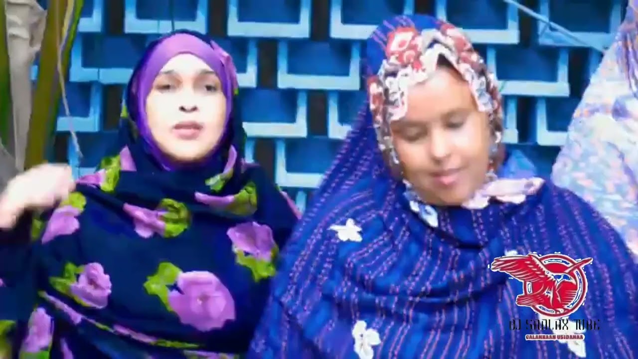 HEESTA SAYLAC WAAD SOOF WARERTAYE SABOOL BAAHANOW JOOG HOBOLADA WAABARI 2024